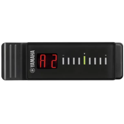 Bas gitaralar üçün