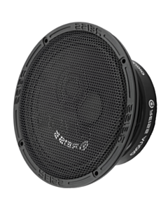 Avtomobil üçün dinamik Reiss RS-M6SOLO