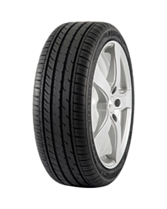 Avtomobil təkəri Davanti 225/55R17 ZR 101W XL DX640 001.DV.505102