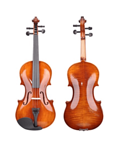 Skripka Amati VG002HPA-4/4