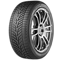 Шина для автомобиля Yokohama Bluearth Winter V905 98V M+S 245/40R19