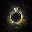 Мужской парфюм HFC Paris Or Noir EDP 75 мл HFCON75