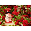 Qadın parfümü Dolce & Gabbana Dolce Rose EDT 75 ml PCDG24 