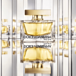 Qadın parfümü Dolce&Gabbana The One EDP 50 ml PCDG02