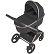Детская коляска Anex Flo 2/1 Solo
