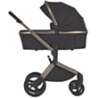 Детская коляска Anex Flo 2/1 Solo