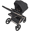 Детская коляска Anex Flo 2/1 Solo