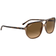 Солнцезащитные очки Ray-Ban RB2205POL 60 M 1292M2