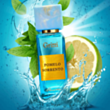 Унисекс парфюм Gritti Pomelo Sorrento EDP 100 мл DGT00604