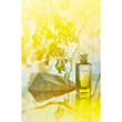 Uniseks parfüm Hermes Le Jardin de Monsieur Li EDT 50 ml 3346132600044 