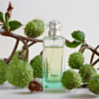 Uniseks parfüm Hermes Un Jardin Sur Le Nil EDT 50 ml 3346138900094
