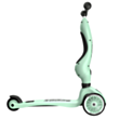 Скутер Scoot & Ride Avstriya Kich 1 Kiwi