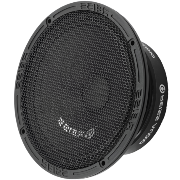 Avtomobil üçün dinamik Reiss RS-M6SOLO