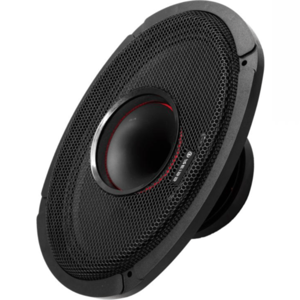 Avtomobil üçün dinamik Reiss RS-M69HS