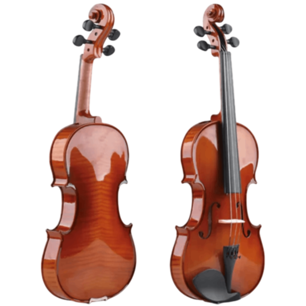 Скрипка Aileen AVL18