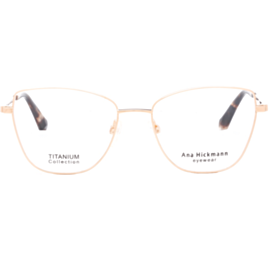 Оптическая оправа Ana Hickmann AH1544T 05B