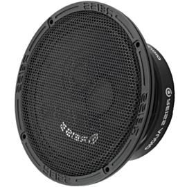 Динамик для автомобиля Reiss RS-M6SOLO