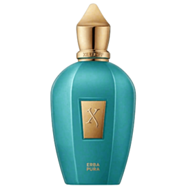 Унисекс парфюм V Xerjoff Erba Pura EDP 50 мл XJV.EPU.50