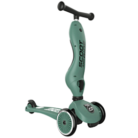 Скутер Scoot & Ride Avstriya Kich 1 Forest