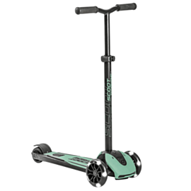 Скутер Scoot & Ride Avstriya Kich 5 Forest
