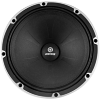 Avtomobil üçün dinamik Reiss RS-M8DF