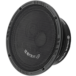 Avtomobil üçün dinamik Reiss RS-M6SOLO