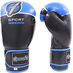 Boks əlcəyi Aspo 10 530961 Blue